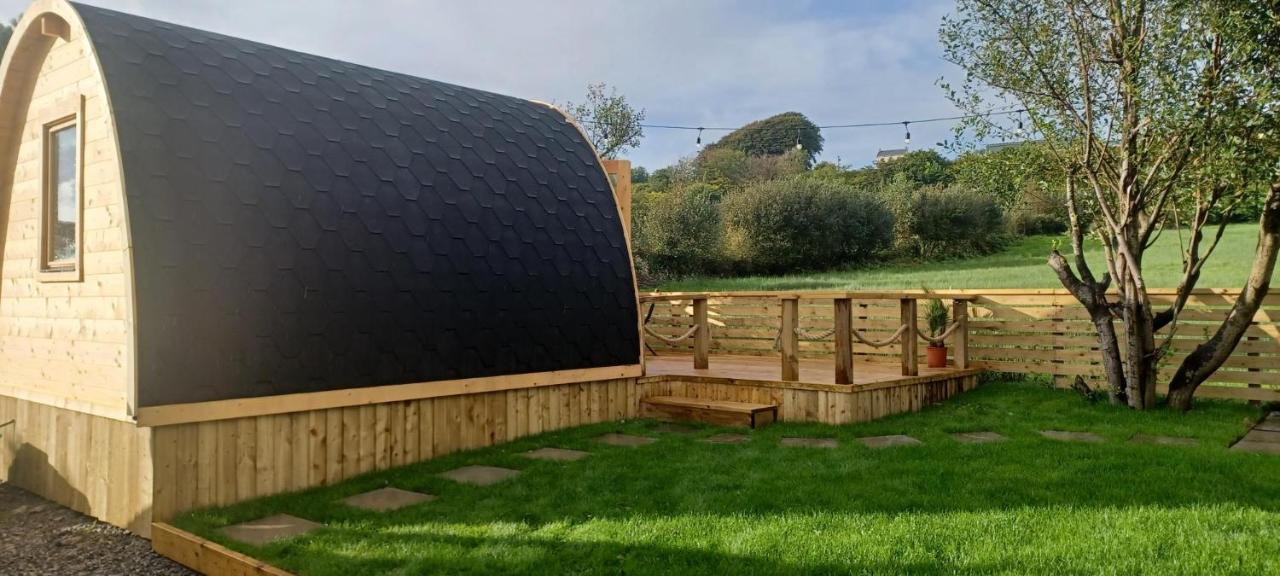 Campsite Y Nyth - The Nest Bridgend (Wales)