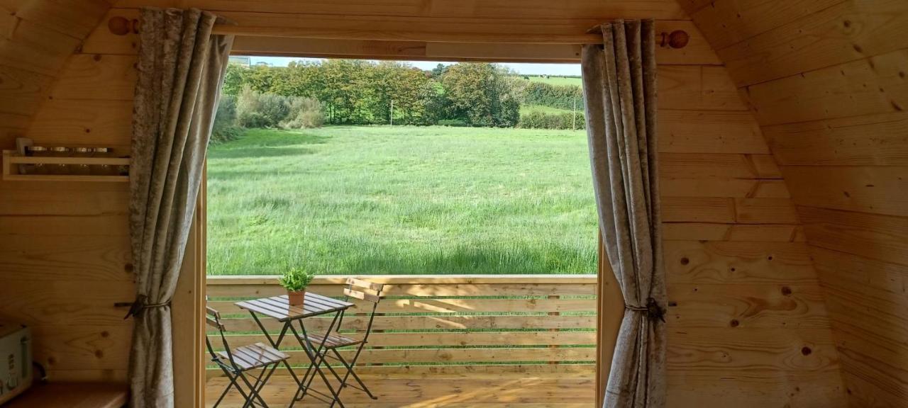 Y Nyth - The Nest * Bridgend (Wales)