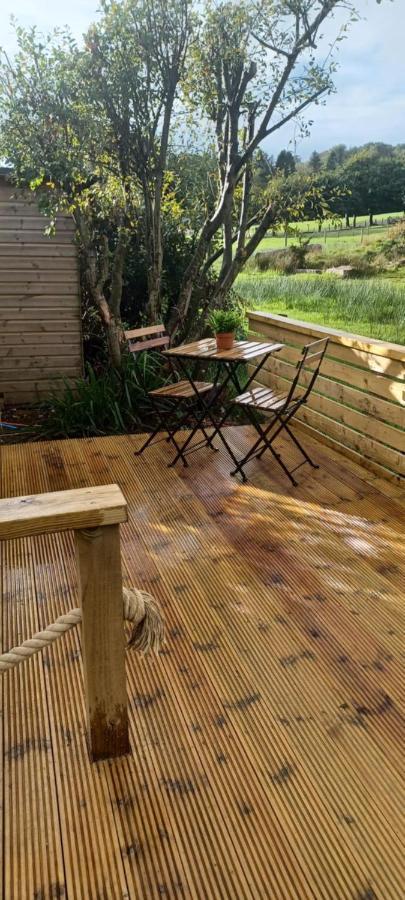 Y Nyth - The Nest * Bridgend (Wales)