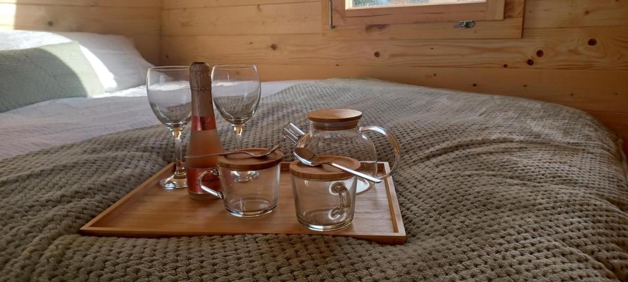Y Nyth - The Nest Bridgend (Wales)